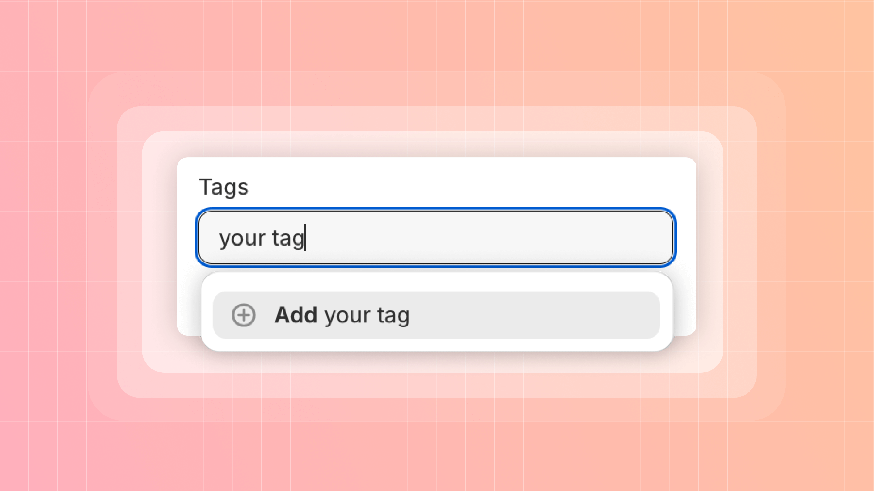 What are Tags in Shopify? Shopify Tagging Guide