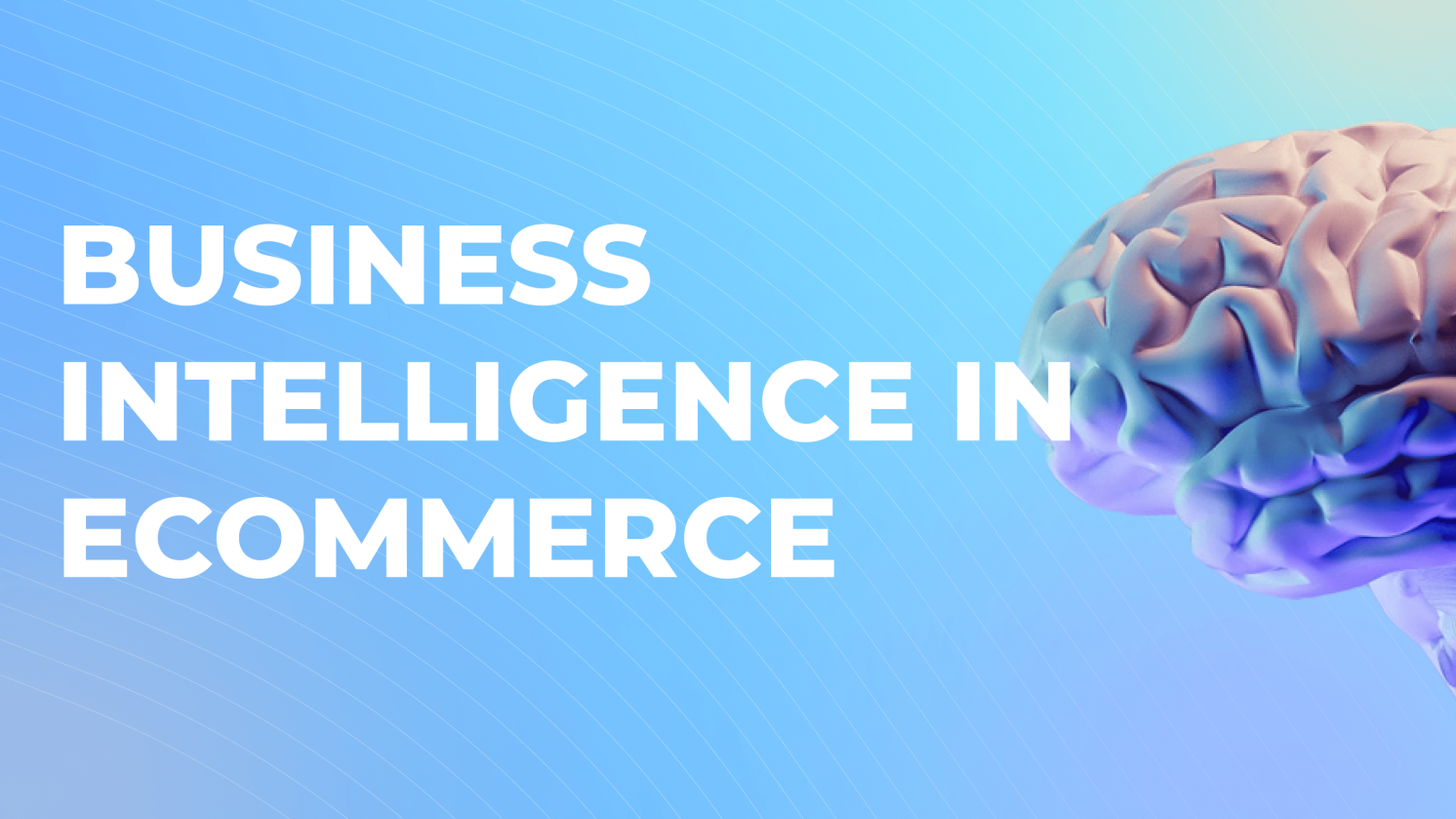 5+ Strategic Applications of Business Intelligence in Ecommerce 