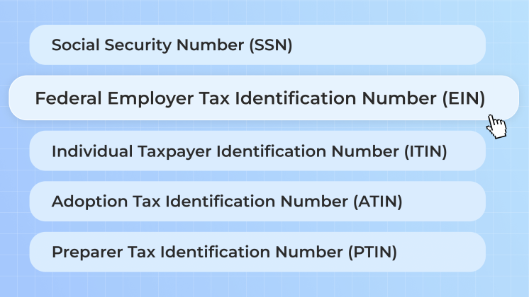 Types of tax numbers