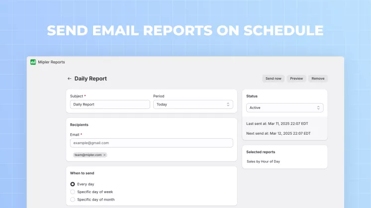 Schedule Reports